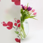 pink glass film chennai